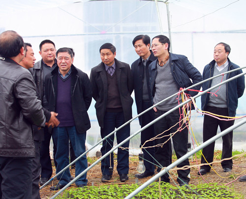 ���˴󴺸��Ӳ� 460_����_����.jpg